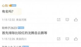 刘大锤最新爆料账号,最新爆料账号背后的惊人真相