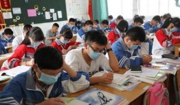 石城学生爆料案件最新,揭开校园安全隐秘面纱