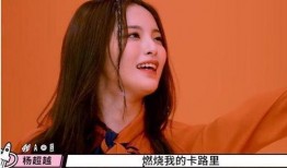 杨超越爆料卡路里视频,卡路里背后的饮食秘密