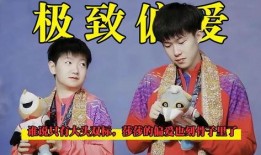 大头和莎莎最新爆料,揭秘娱乐圈不为人知的秘密