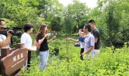 农林在线观看,农业科技与农村发展的前沿视角