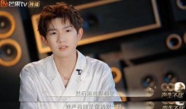 王源爆料王菲是真的吗视频,王源爆料视频曝光惊人真相