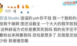 青枫工作室爆料视频大全,视频大全精彩回顾