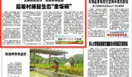 八村最新爆料新闻报道内容,揭秘背后惊人真相！”