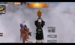 麒麟爆料和平精英视频,揭秘和平精英最新视频精彩瞬间