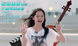 琴姐爆料轩轩妈妈视频,揭秘背后惊人内幕