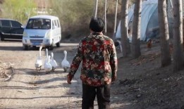 白城医专事件新爆料视频,真相再起波澜