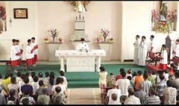 圣血在线观看,热血激战，探寻神秘圣血之谜