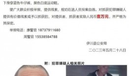 伊川新闻爆料最新消息,重大事件引发社会关注！