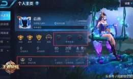 王者无心爆料视频