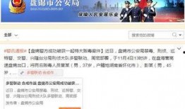 盘锦贺蕾爆料事件视频播放,真相与舆论的碰撞