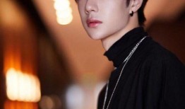 圈内人爆料王一博,揭秘娱乐圈新晋顶流背后的故事