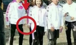 娱乐圈三大吃瓜定律