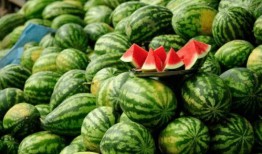 那些吃瓜网红叫什么名字,揭秘那些吃瓜网红的传奇故事