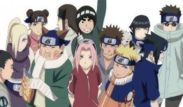 火影忍者在线观看全集,全季回顾，热血青春的忍者传奇