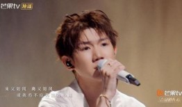 王源爆料王菲是真的吗视频,王源爆料视频曝光惊人真相