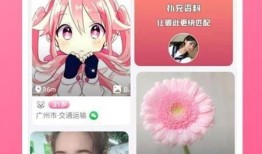 网红合租爆料视频下载软件