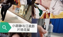 网红身世爆料视频大全,揭秘网红背后的真实故事大全