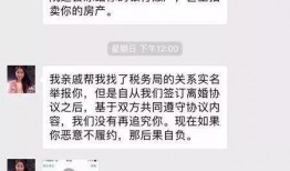 翟欣欣新案爆料最新消息,真相再起波澜，情感纠葛再掀风云