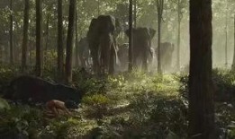 奇幻森林完整版在线观看