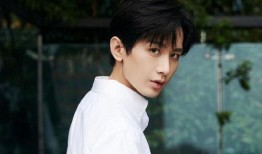 娱乐大爆料之成毅,娱乐大爆料中的璀璨星辉