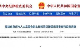 福建省最新爆料,揭秘神秘事件背后的真相