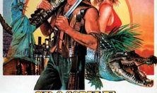 鳄鱼邓迪1在线观看,勇闯天涯的传奇冒险