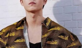 辉叔爆料刘昊然视频大全,刘昊然视频大全背后的精彩瞬间