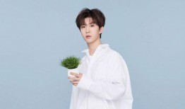 圈内人爆料贾玲范丞丞视频,娱乐圈再掀波澜