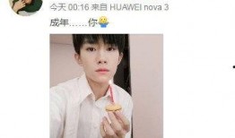 娱乐吃瓜酱18岁,18岁青春绽放，揭秘明星成长故事