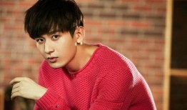 娱乐大爆料之成毅,娱乐大爆料中的璀璨星辉