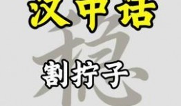 汉中今日头条最新的爆料,揭秘某神秘项目背后真相！