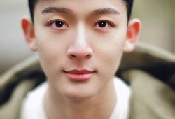 娱乐八卦爆料张晚意视频,娱乐八卦再掀波澜