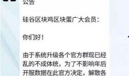 吃鸡宠物爆料网站大全最新,吃鸡宠物爆料网站大全最新动态，热门宠物信息一网打尽！