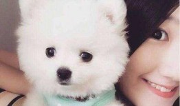 博美爆料新闻事件真相是什么,揭开真相背后的惊人内幕