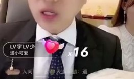 央视爆料最新消息回放视频,揭秘重大事件背后真相