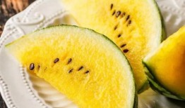 浙江杭州网红吃瓜,一瓜未落尽欢声