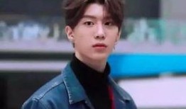 圈内人爆料贾玲范丞丞视频,娱乐圈再掀波澜