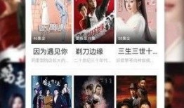 黑土爆料事件视频播放下载,揭秘事件背后真相