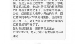 最新八卦爆料奶茶视频,神秘视频揭秘网红奶茶幕后真相