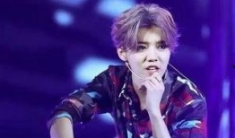 鹿晗演唱会的爆料视频大全,独家爆料视频全集