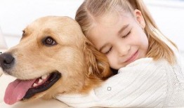 娱乐吃瓜宠物推荐,盘点那些爱看热闹的萌宠