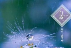 白露炫彩最新爆料,揭秘神秘彩妆背后的故事