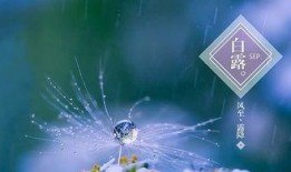 白露炫彩最新爆料,揭秘神秘彩妆背后的故事