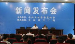 广西田林新闻爆料视频播放,视频揭示当地热点事件