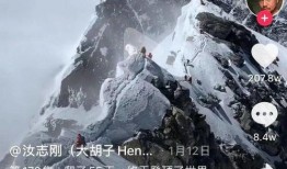 抖音故事踏雪爆料视频,踏雪爆料背后的惊人真相