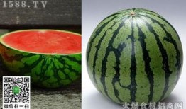 免费吃瓜全网合集,全网合集大揭秘