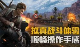 和平精英爆料视频作者,跟随爆料视频作者探寻游戏幕后秘密