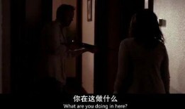 欲望在线观看视频,揭秘网络视频背后的秘密世界