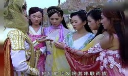 七公主代驾 在线观看,激情驾驭，安全无忧的夜间出行伴侣